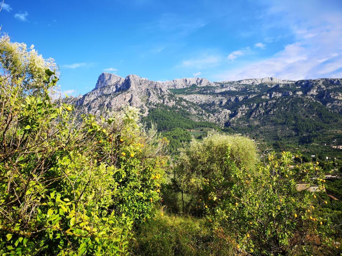 Villa Ideal Soller Ngoại thất bức ảnh